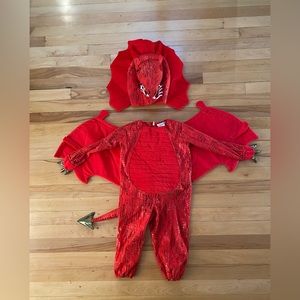 Pottery Barn Kids dragon costume 3T